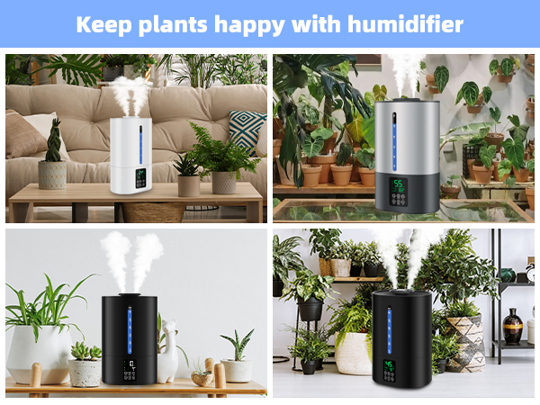 humidifiers for plants indoor