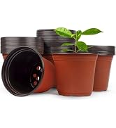 Hdeoops 100 PCS Plastic Nursery Pots 4 Inch Seed Starting Pots for Succulents, Seedlings, Cutting...
