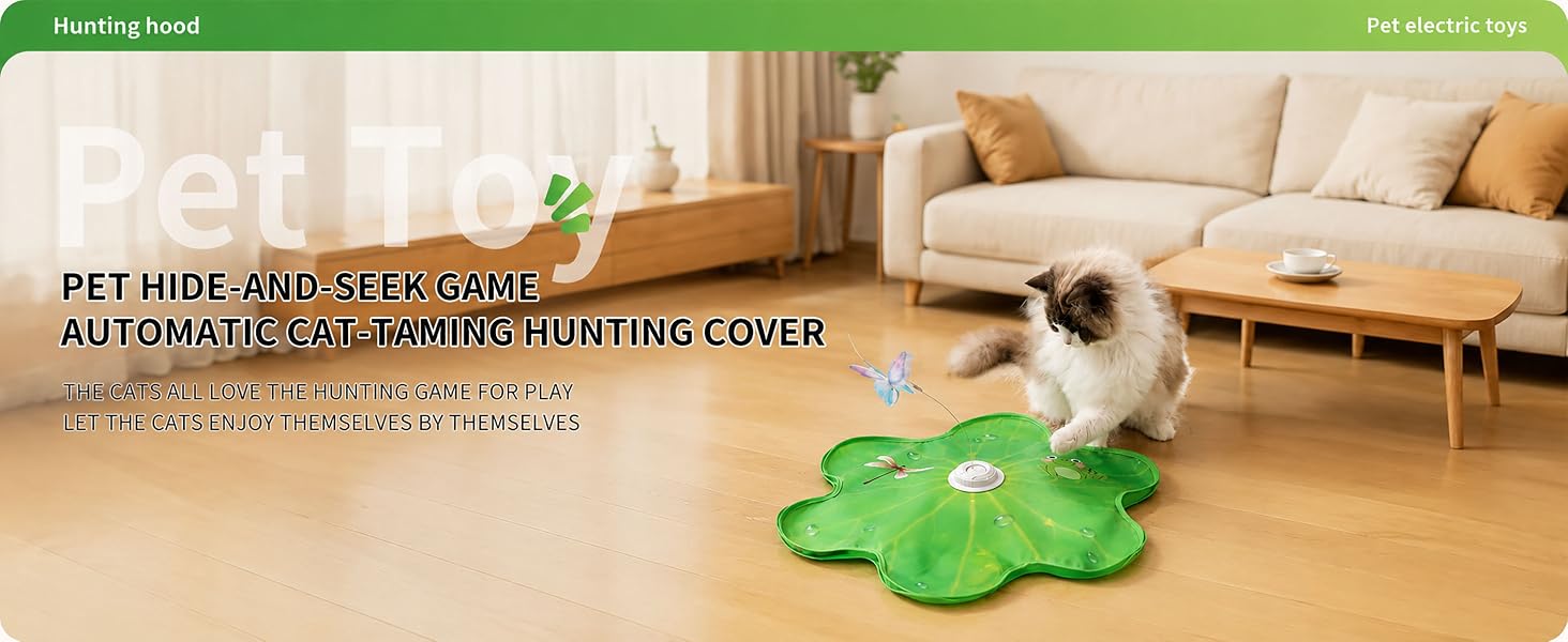 Pet toy