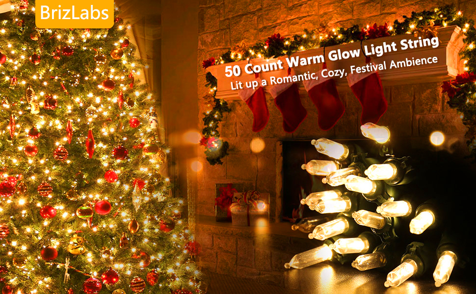 50 Count Christmas lights