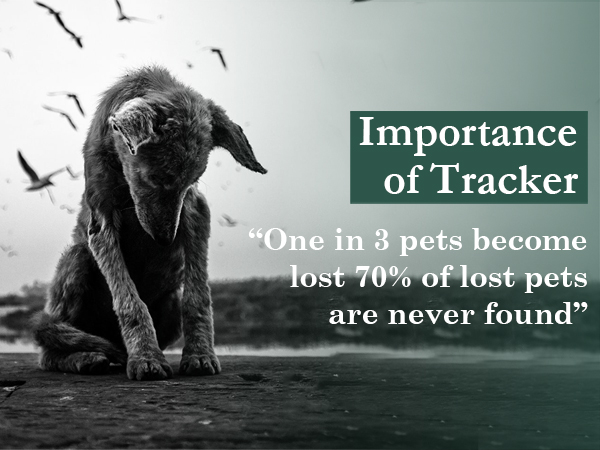 personalized dog location tracker