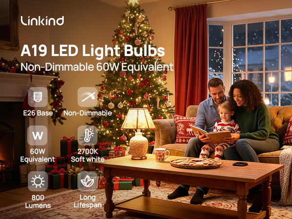 1 A19 non dimmable 60W