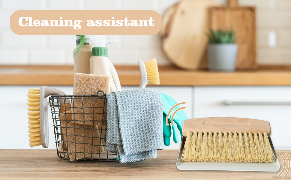 dust pan and brush set