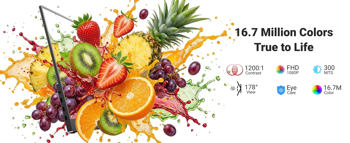 portable monitor