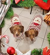 TENGZHI Dog Christmas Sweater Pet Costume XXS Cat Ugly Christmas Sweater Fall Puppy Jumper Dog Ou...