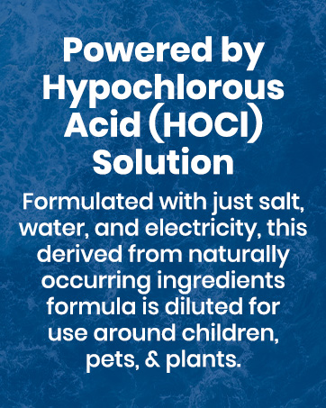 HOCI Solution