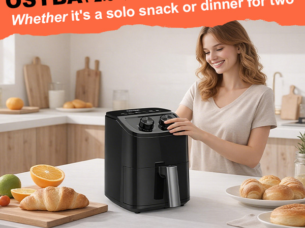 mini air fryer non toxic air fryer air fryer small compact air fryer air fryer stainless steel
