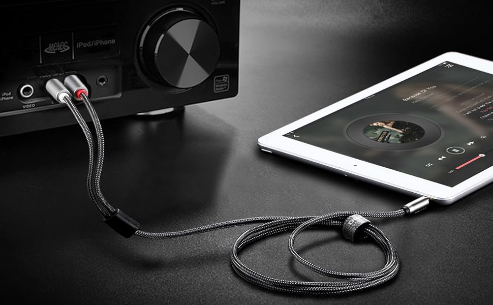 3.5mm to 2-Male RCA Adapter