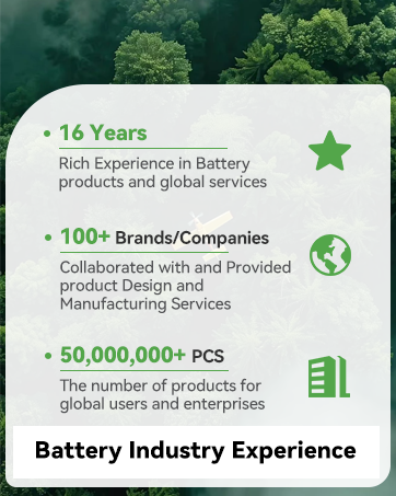 Haloun Brand - Previous Experience