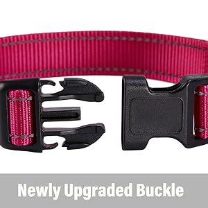 dog collar