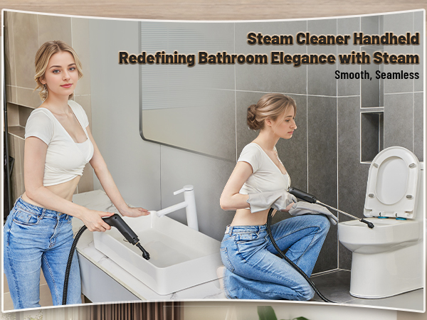 steam cleaner, steamer for cleaning, handheld steam cleaner, steam cleaner for home, steam cleaner