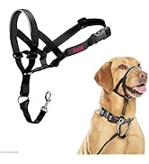 The Company of Animals HALTI Headcollar, Black, 3-Size, Model Number: 13200, Size 3 (Pack of 1)