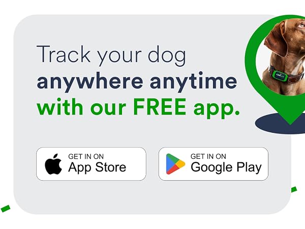 Dog GPS Tracker