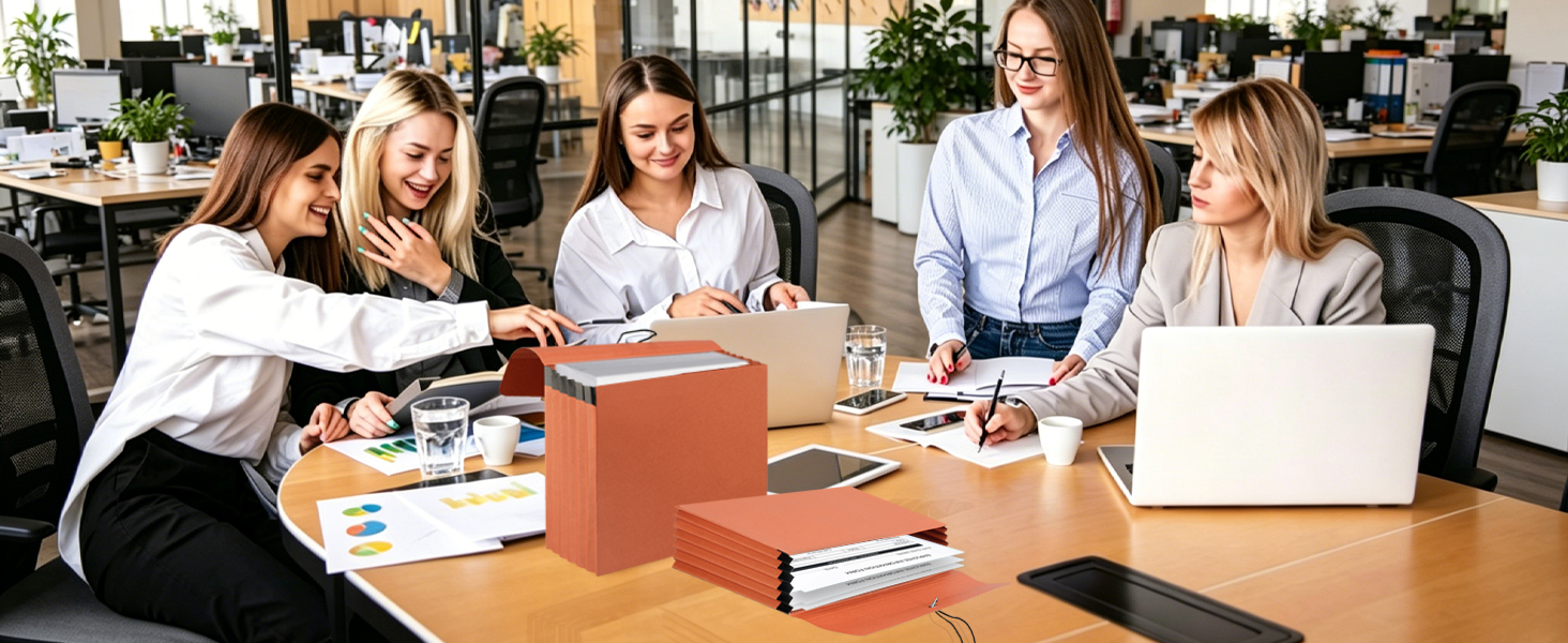 Accordion File Organizer