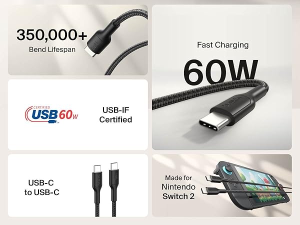 Nintendo Switch Charging Cable