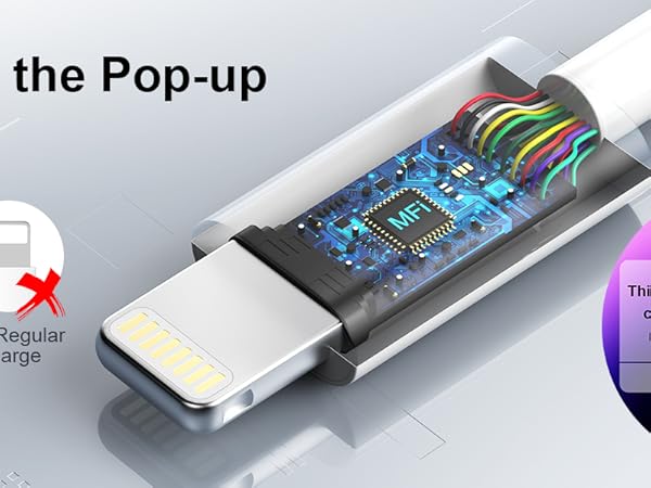 20W USB C iPhone charger fast charging block for iPhone 14 13 12 11 pro max 10ft cable