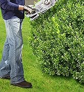 Hedge Trimmer