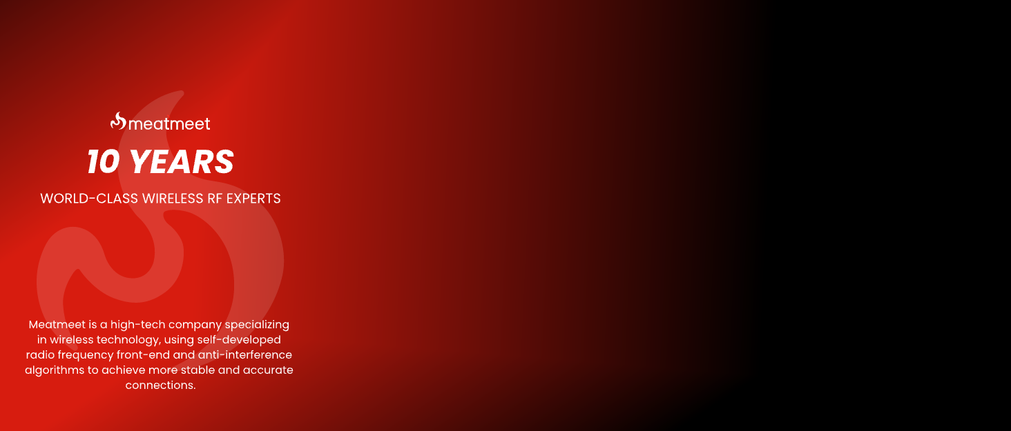 wireless meat thermometer