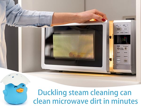 Microwave Steam Cleaner
