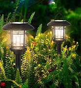 Solar Lights 6 Pack