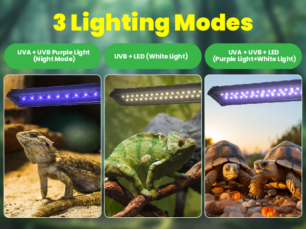 uvb light for reptiles