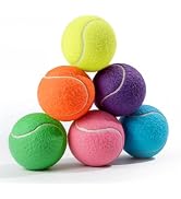 PHOEPET 6-Pack Tennis Balls for Dogs, Bulk Rubber Ball for Fetch Chew Toys Beginner Training Prac...