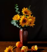 RALENO LED Video Soft Light Panel | Studio Photography, Live Streaming, Video Conferencing | Came...