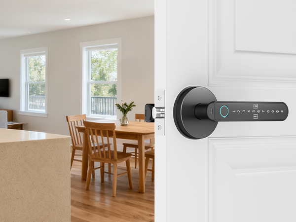 Keyless Apartment Door Handle