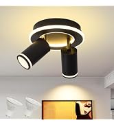 LED 2 Light Track Lighting Kit, Round Black Ceiling Spot Lighting Fixture with Dual Lighting Desi...