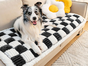 sofa slipcover
