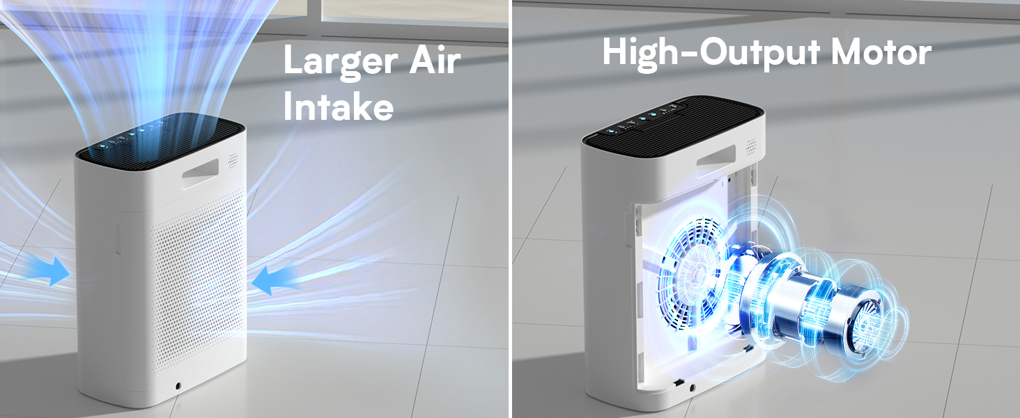 air purifier for dorm room