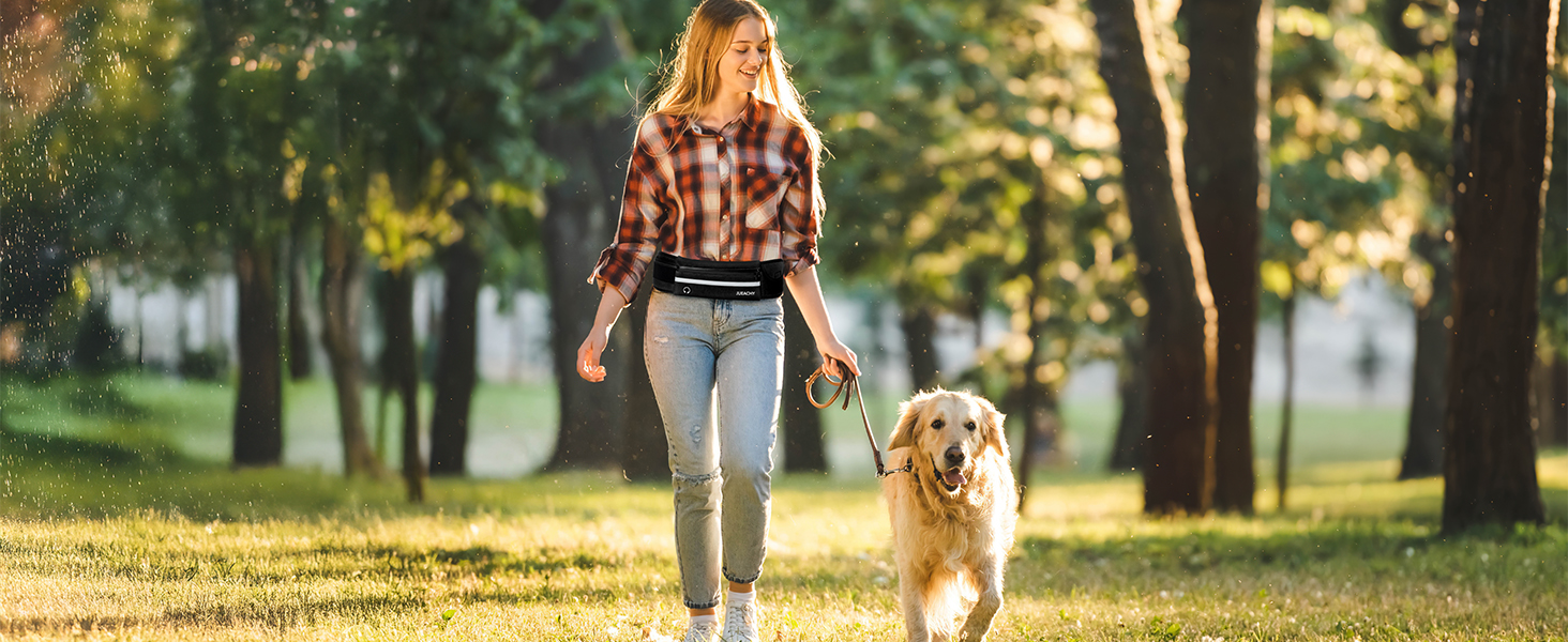 A person walking a golden retriever dog in a park with trees. The scene is captured in warm, golden sunlight.