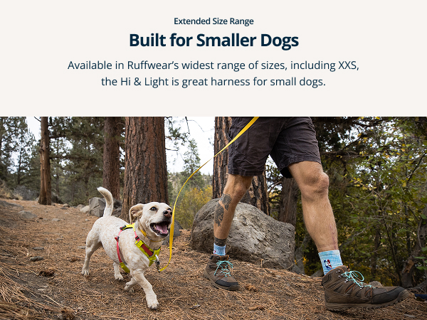 Dog harness small sized dog fit with reinforced webbing and lightweight construction.
