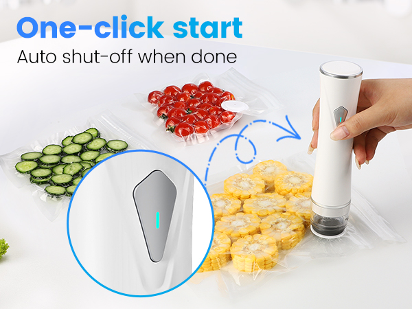vacuum sealer for food