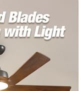 Passky Ceiling Fan,5 Blades,60 Inch,Black