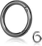 10Pack 1 Inch Metal Spring O Rings Clip Keychain, Round Carabiner Clips Keyrings Snap Hook Buckle...