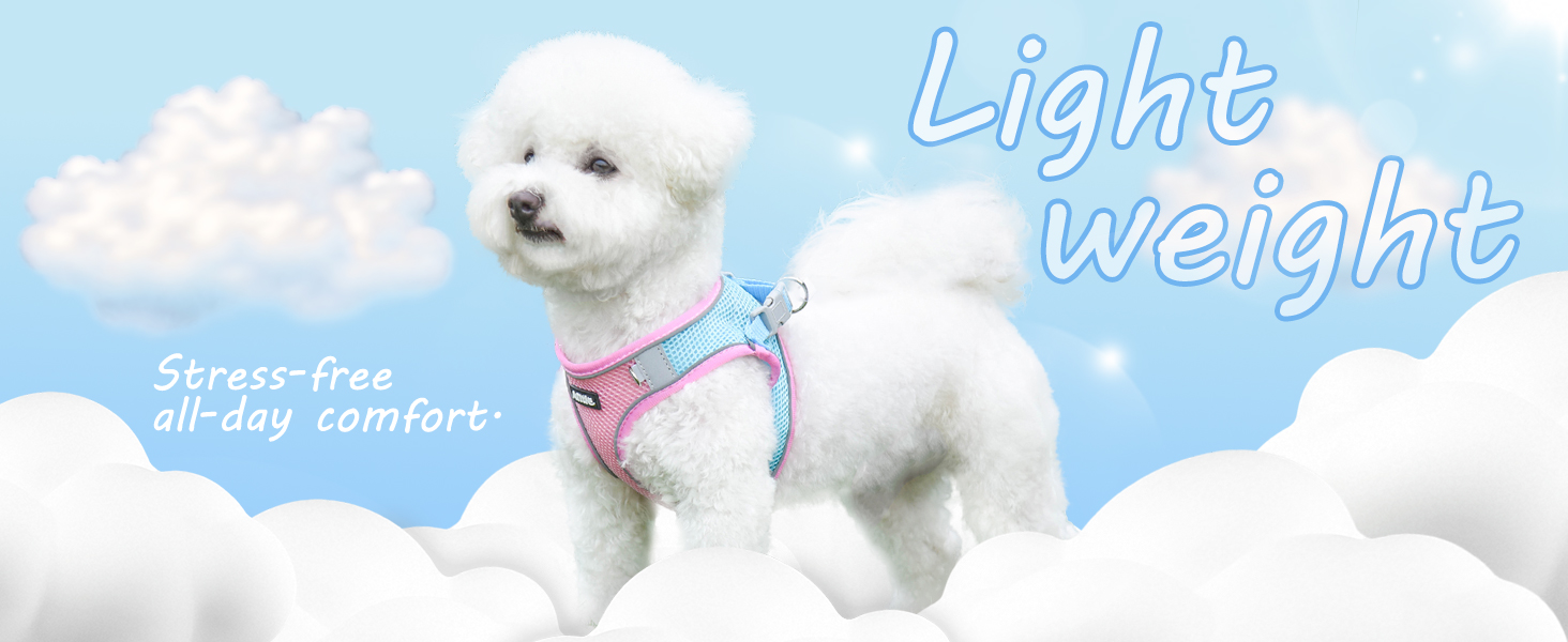 AIITLE Dog Harness, No-Pull Cat Harness with a Leash, Adjustable Reflective Dog Vest