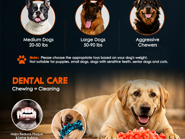 dog chew toys