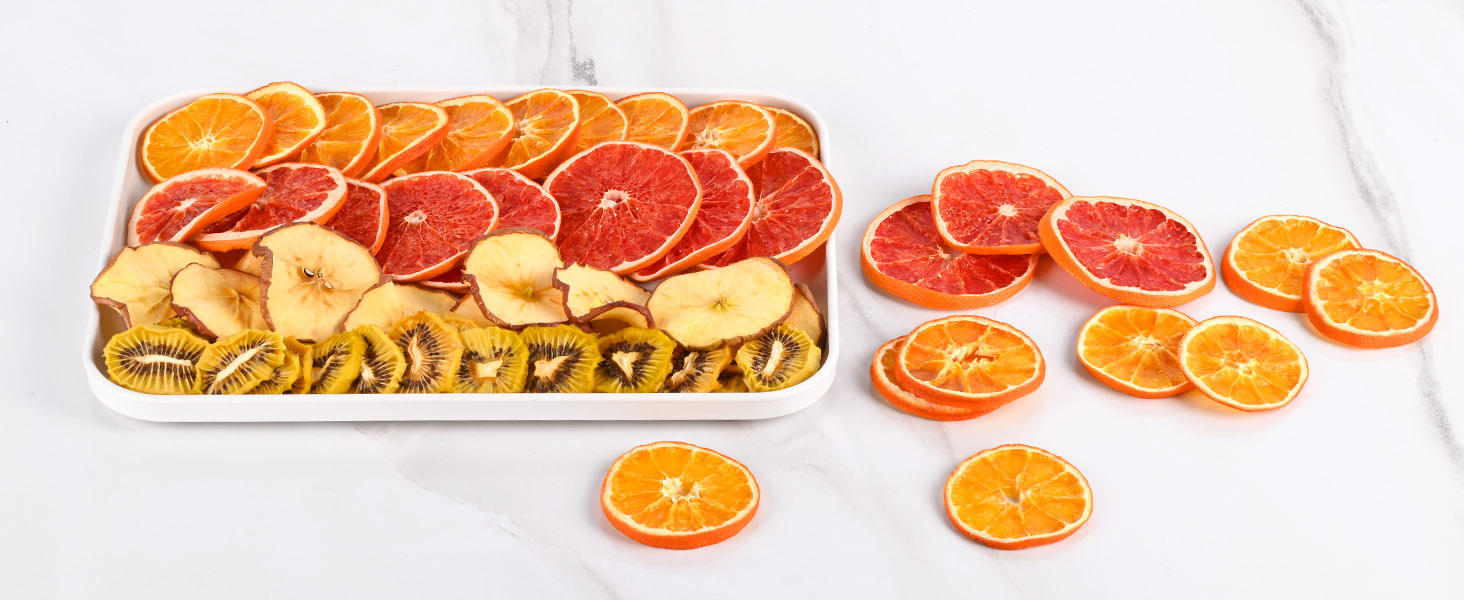 fruit dehydrator