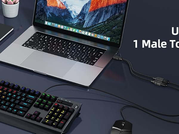 USB splitter cable connecting laptop to keyboard. Text overlay: 'USB Splitter 1 Male To 2 Female'. Desk setup with notebook and plant visible.