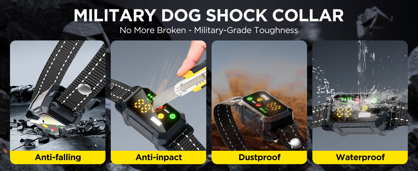 dog shock collar with remote control