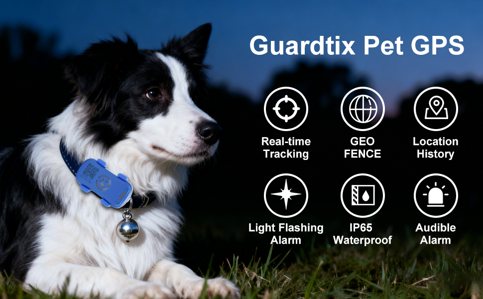 Pet GPS Real-time GEO-FENCE LOCATION HISTORY Light Flashing IP65 Waterproof Audible Alarm