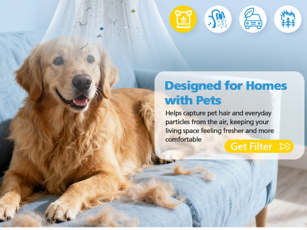 Keep Pet Hair &amp;amp; Odors Away