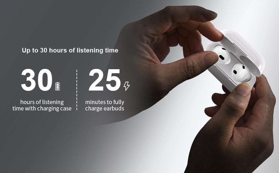 charging case