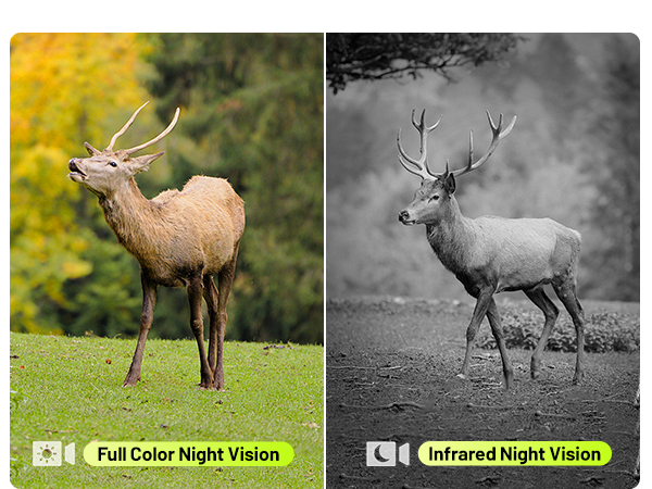 no wifi security camera outdoor