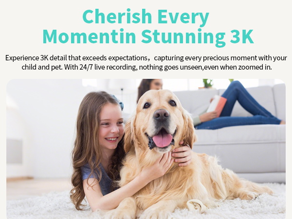 pet camera indoor with phone app