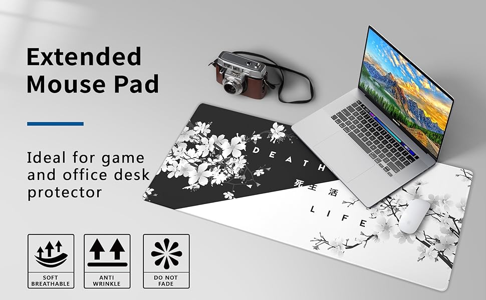 Extended Mouse Pad