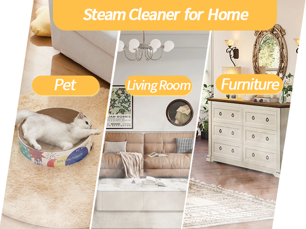 best steamer for auto detailing heavy duty steamer for cleaning pressure steamer
