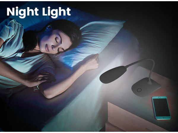 portable light