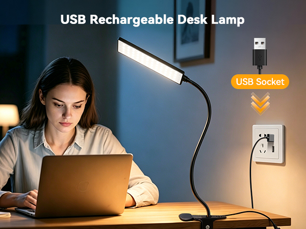 Clip On Desk Lamp